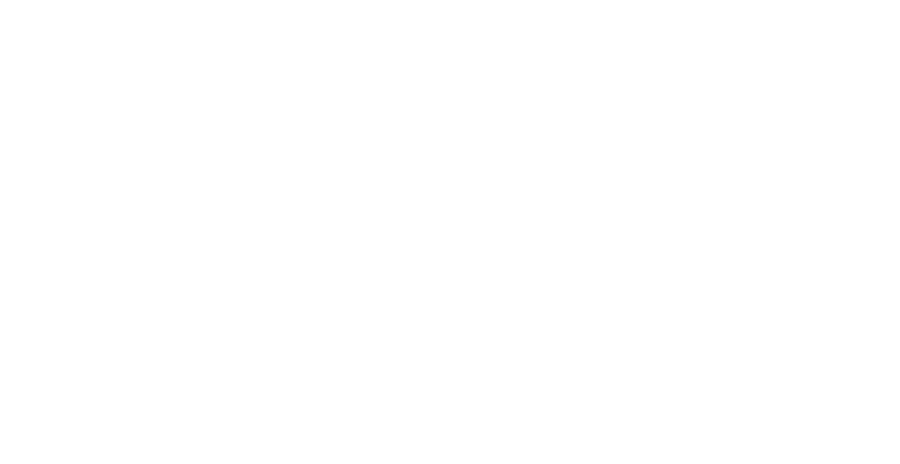 Southern Swing Sports